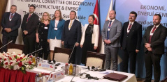 17 June 2019 The participants of the meeting of the SEECP PA General Committee on Economy, Infrastructure and Energy